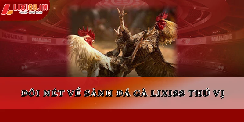 Đôi nét về sảnh đá gà LIXI88 thú vị