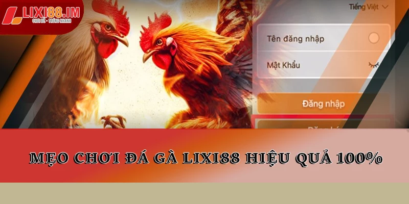 Mẹo chơi đá gà LIXI88 hiệu quả 100%